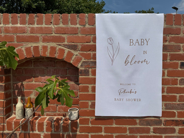 Baby Shower & Gender Reveal Party