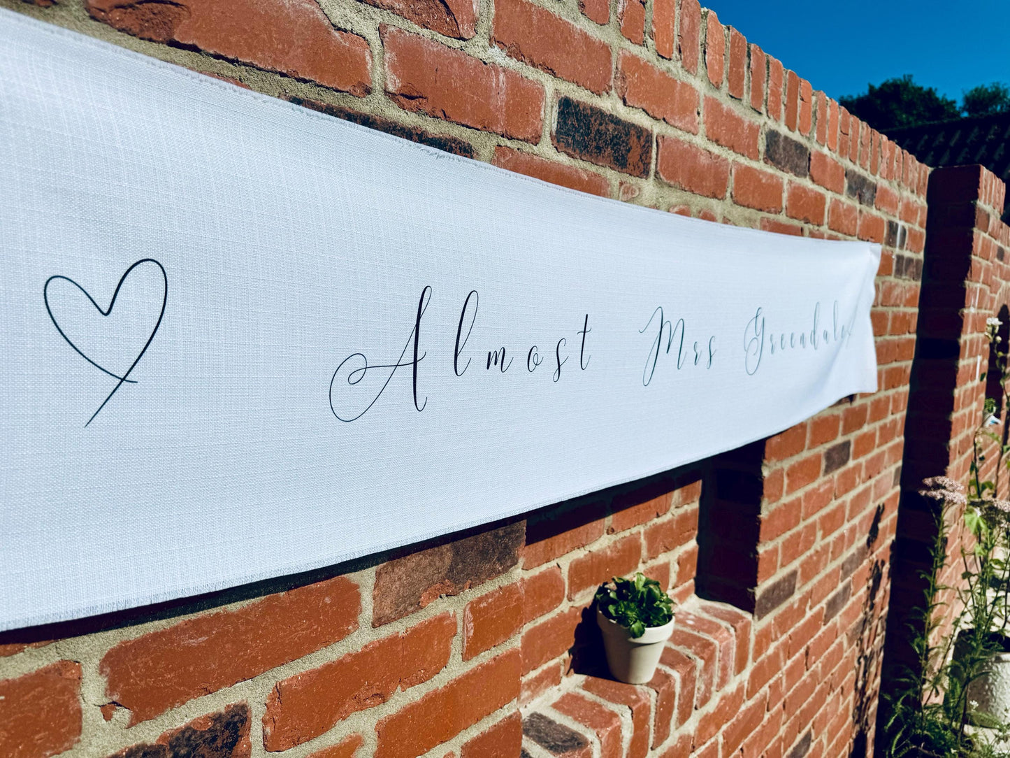 Hen Party Banner