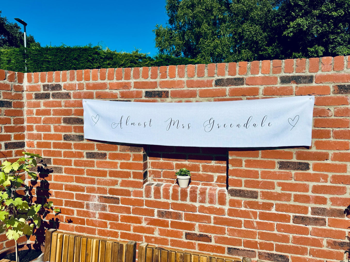 Hen Party Banner