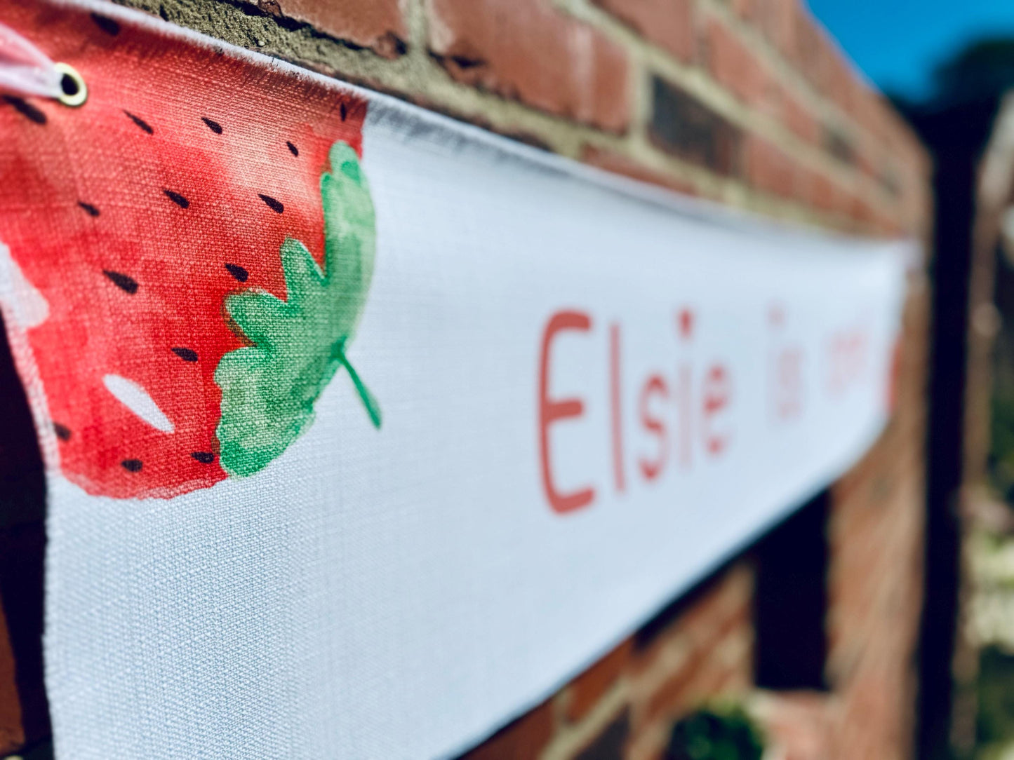 Birthday Banner - Strawberries