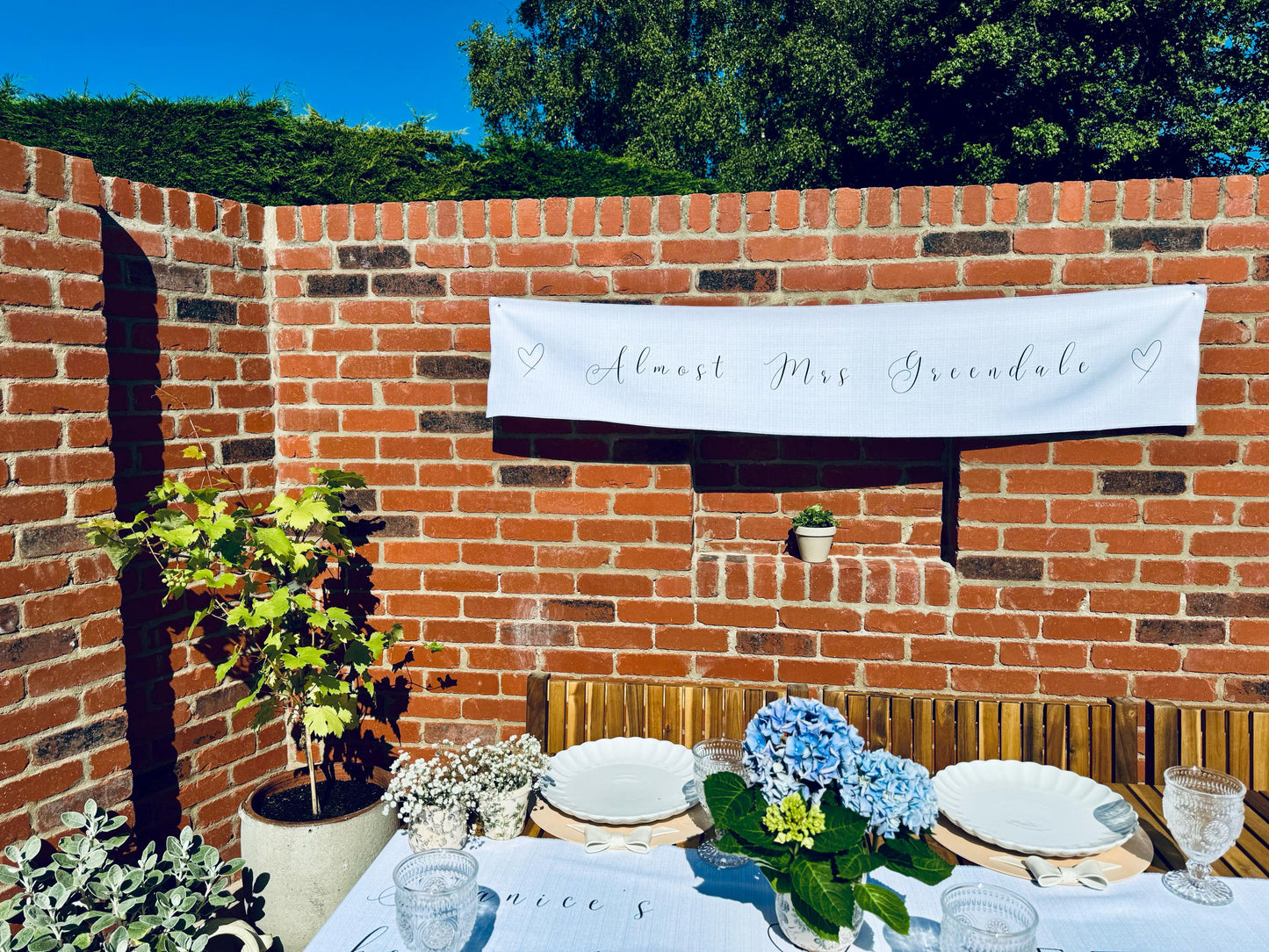 Hen Party Banner