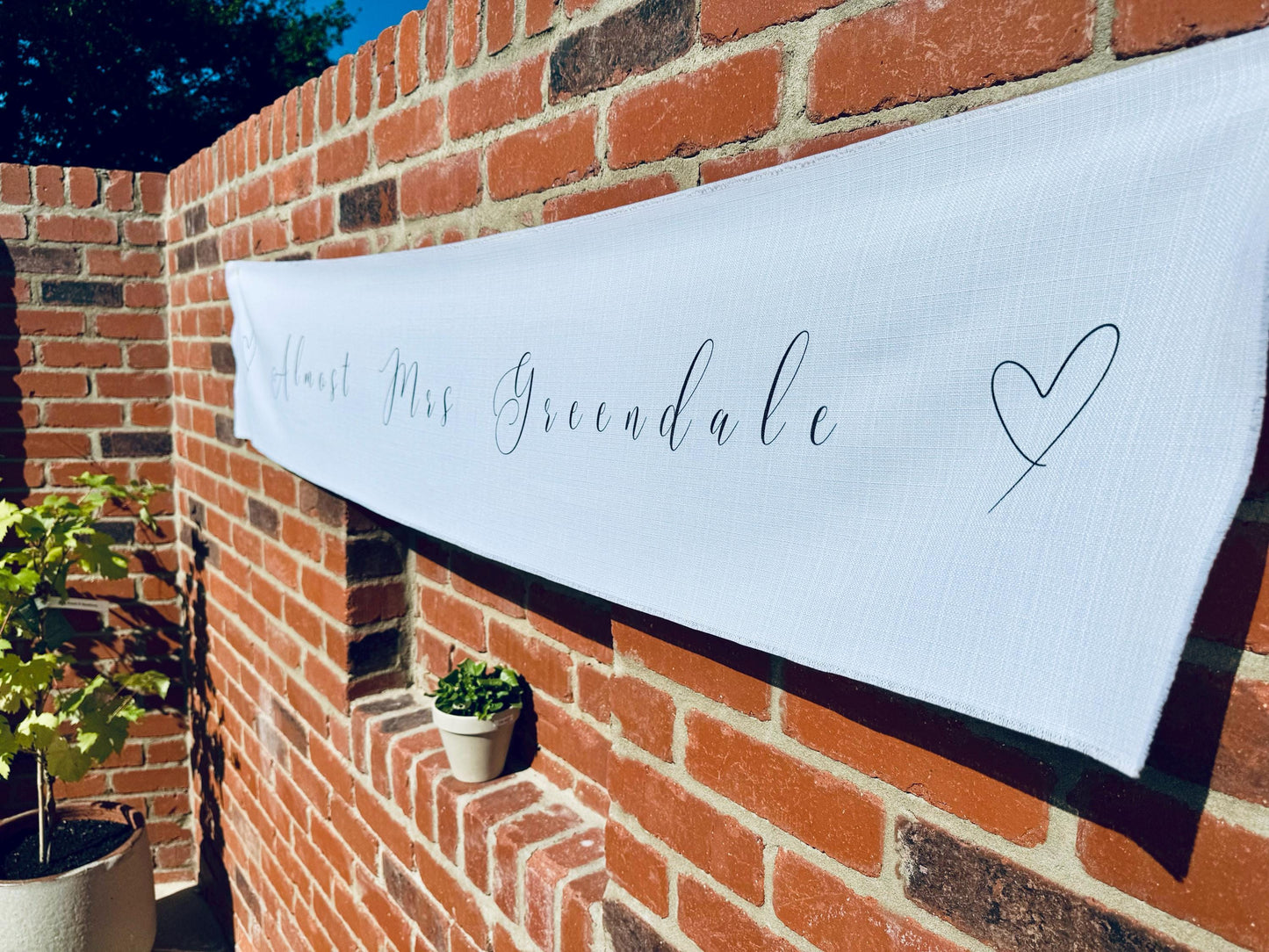 Hen Party Banner
