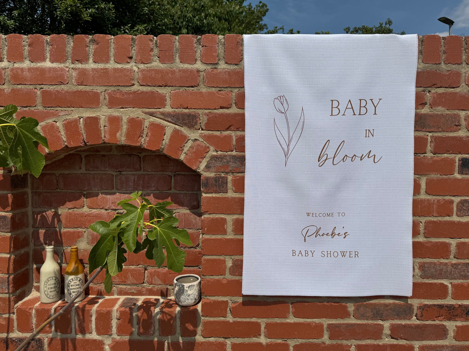 Baby Shower & Gender Reveal Party
