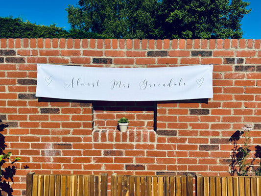 Hen Party Banner